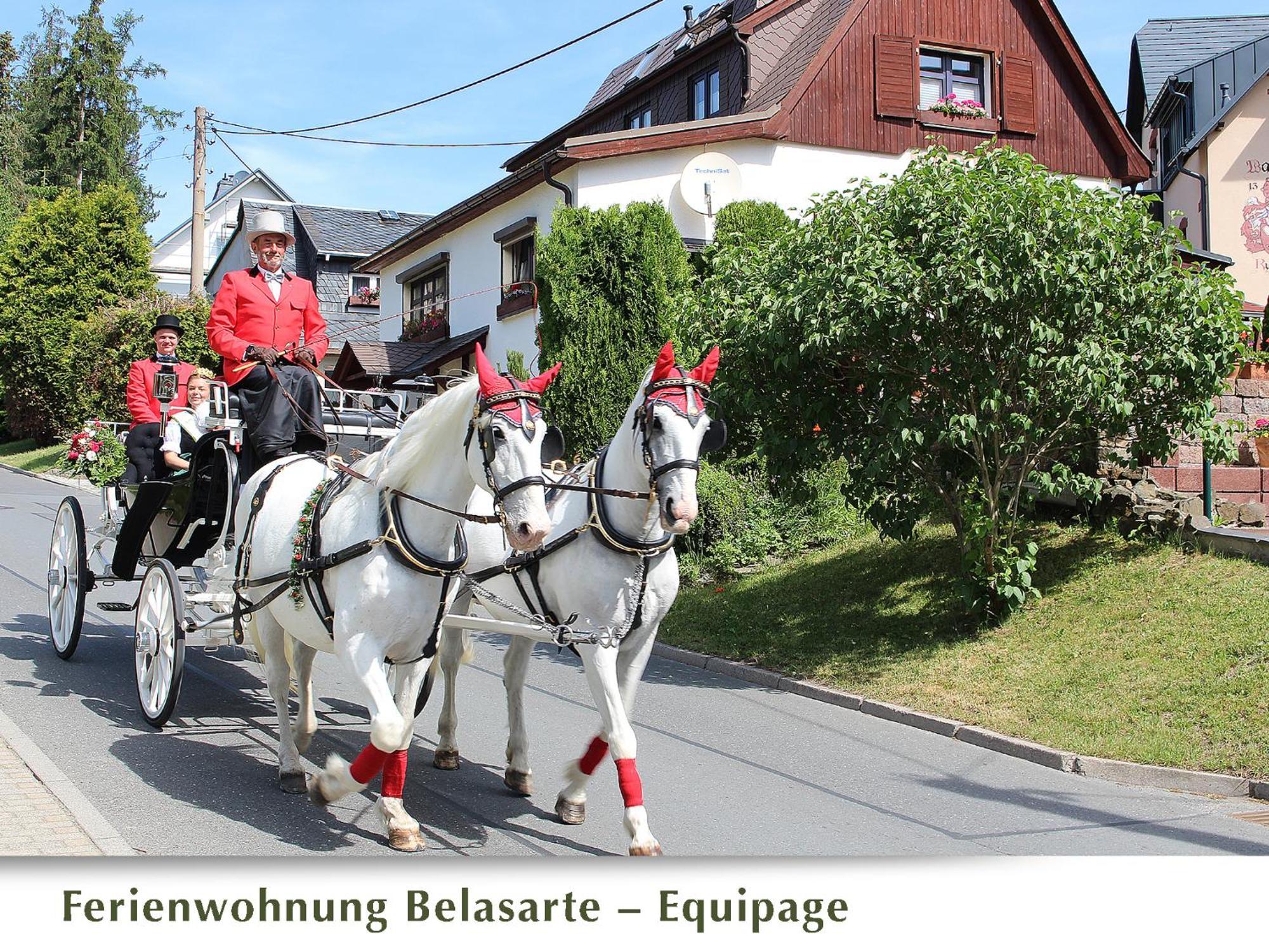 Ferienwohnung Belasarte バート・エルスター エクステリア 写真