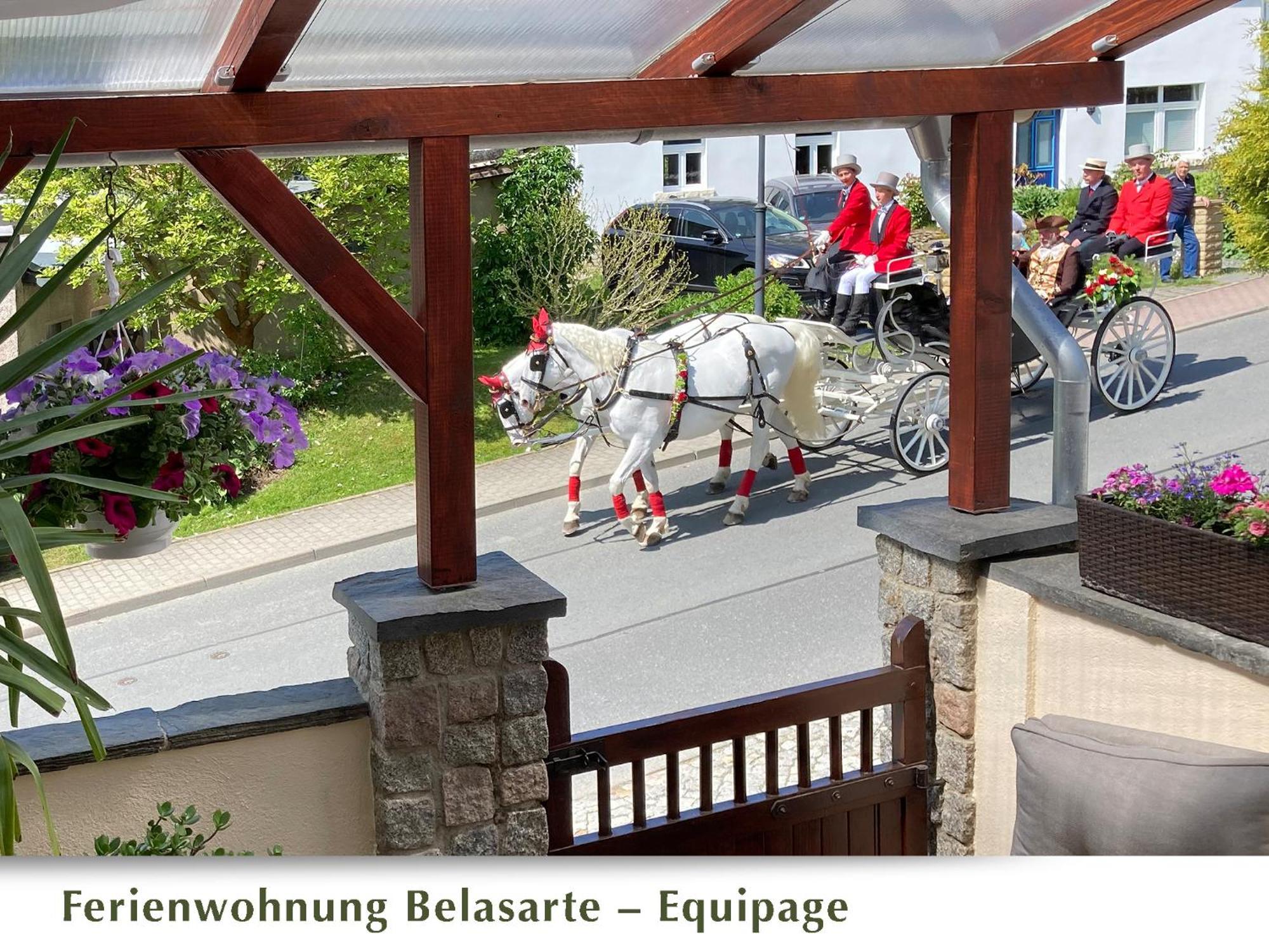 Ferienwohnung Belasarte バート・エルスター エクステリア 写真